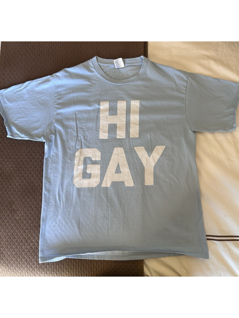 Gay Pride Tee "Hi Gay" Novelty LGBTQ Graphic T-Shirt, Size Large, Blue & White